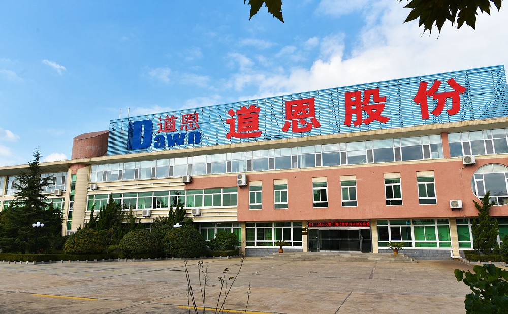 引領行業潮流！道恩入選山東“十強”產業集群領軍企業